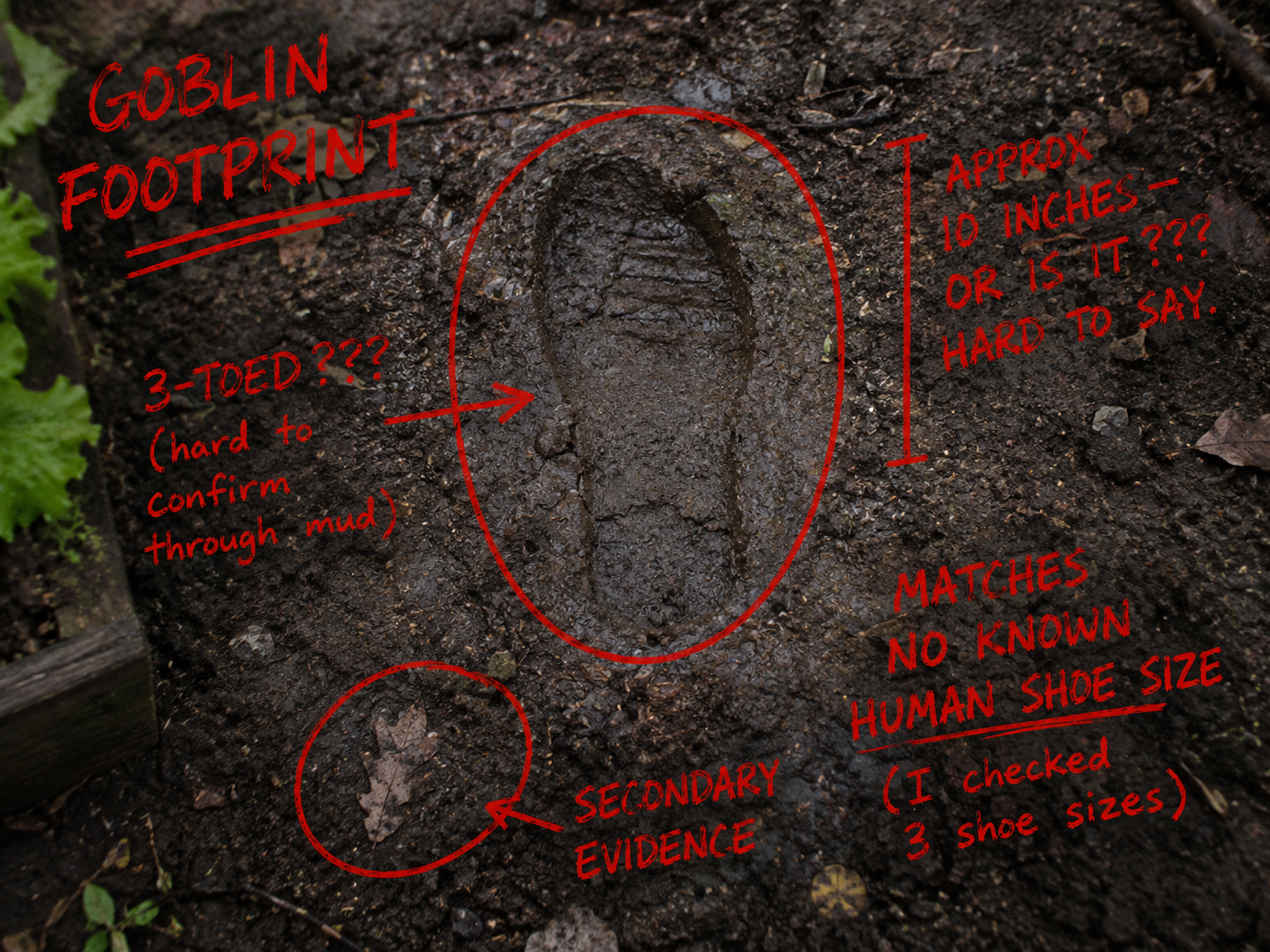 THREE TOES. POSSIBLY FOUR. DEFINITELY NOT FIVE. I CHECKED MY OWN FOOT. MINE HAS FIVE TOES. THIS IS NOT THAT.